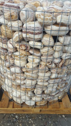 Tumbled Sherry Onyx Pebbles